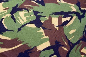 Camouflage Hollandais (NL) Camouflage Netherlands (NL)