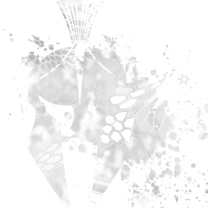 Yeti / Wraith Kryptek